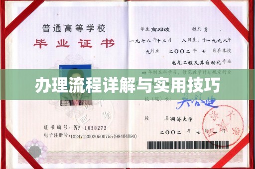 曲水办理流程详解与实用技巧