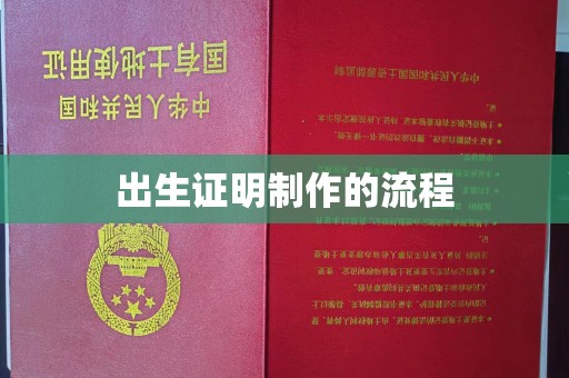 曲水出生证明制作的流程