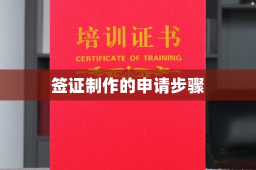 曲水签证制作的申请步骤