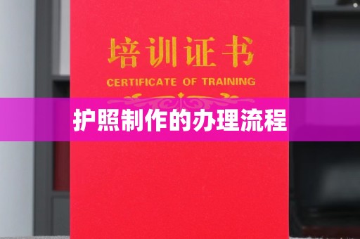 曲水护照制作的办理流程