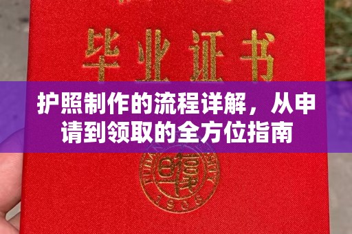 曲水护照制作的流程详解，从申请到领取的全方位指南