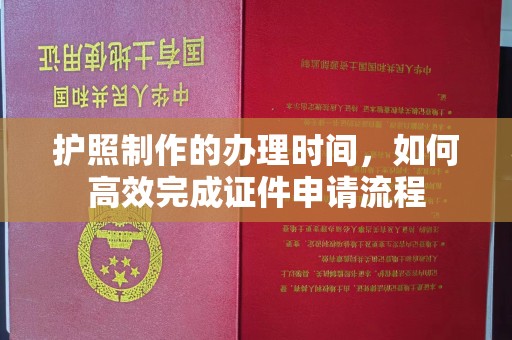 曲水护照制作的办理时间，如何高效完成证件申请流程