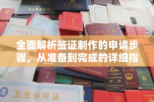 曲水全面解析签证制作的申请步骤，从准备到完成的详细指南