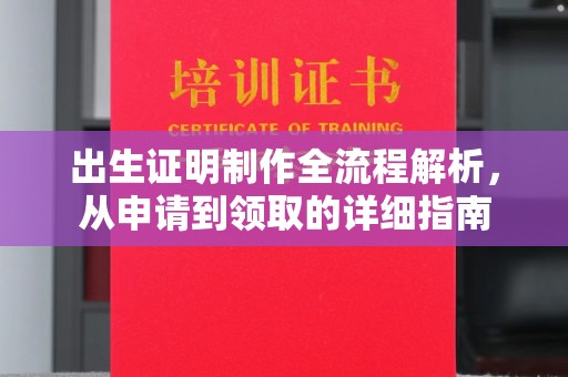 曲水出生证明制作全流程解析，从申请到领取的详细指南