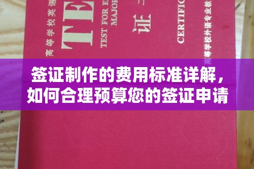 曲水签证制作的费用标准详解，如何合理预算您的签证申请成本